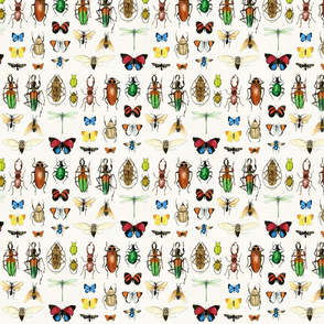 The Usual Suspects - insects on white - medium-small