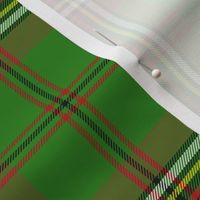 Murphy / Tara tartan, 6" bright