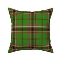 Murphy / Tara tartan, 6" bright