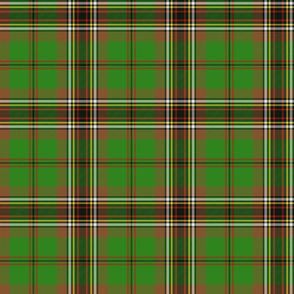 Murphy / Tara tartan, 6" bright