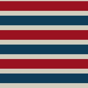 Stars N Stripes 8