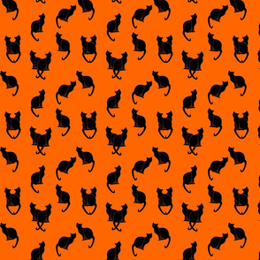 black cats silhouettes on orange