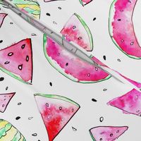 Watercolor Watermelon