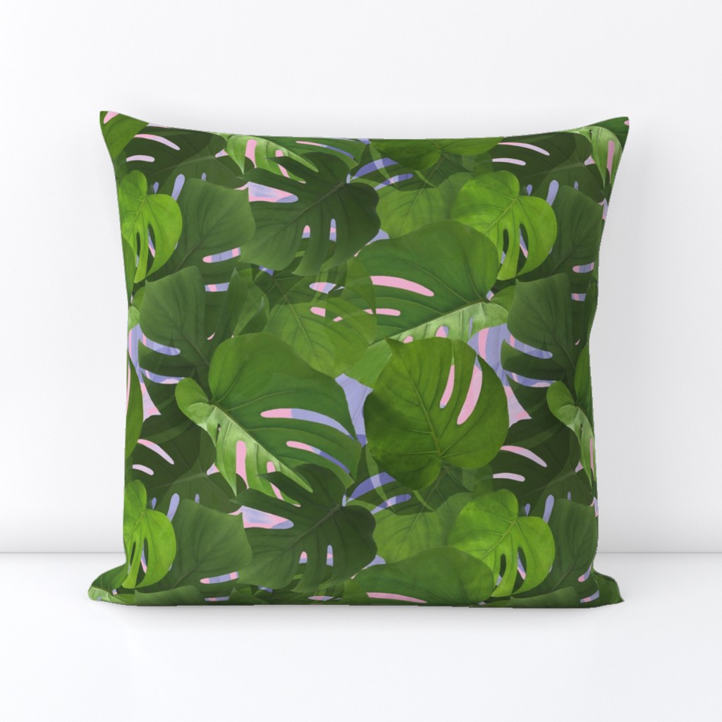Palm Leaves - Monstera Leaves with Pink