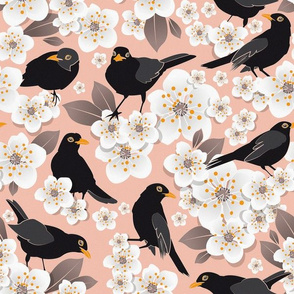 Waiting for the cherries 3 // pink background white flowers blackbirds 