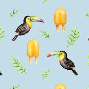Toucan and Popcicles