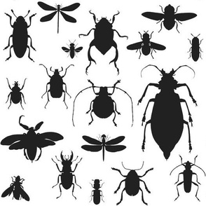 10" Bugs Collection - Black & White