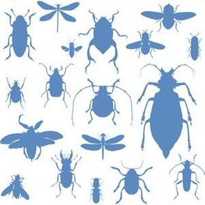 6" Bugs Collection - Summer Blue