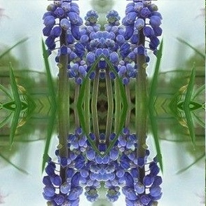 Muscari Reflected in Pond - small scale