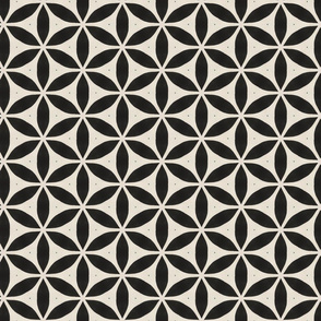 hexagon Bhuvi black &white star