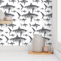 Geometric Sharks Grey - Nautical - Summer