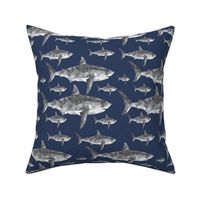 Geometric Shark Navy - Nautical Sharks - Summer