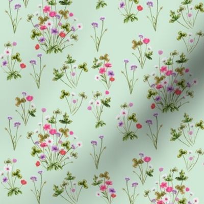 Meadow 03MT Magenta Mint