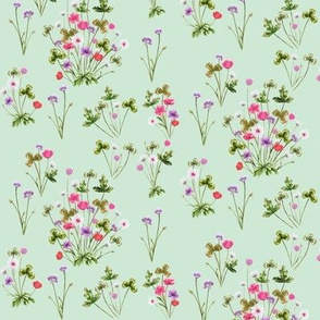 Meadow 03MT Magenta Mint