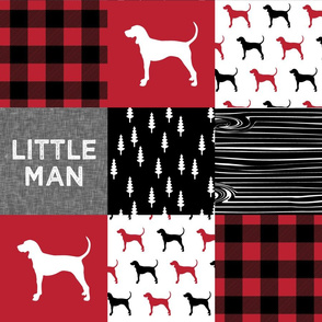 Little Man || black and red coonhound