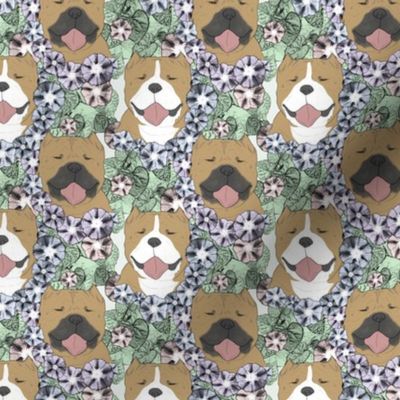 Small Floral American Bully portraits B