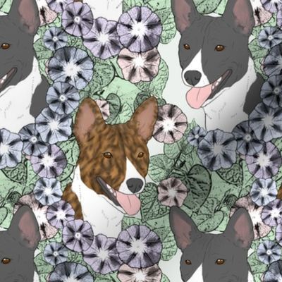 Floral Basenji portraits B