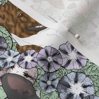 Floral Basenji portraits B