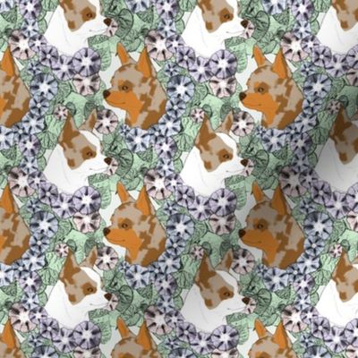 Small Floral Chihuahua portraits red merle