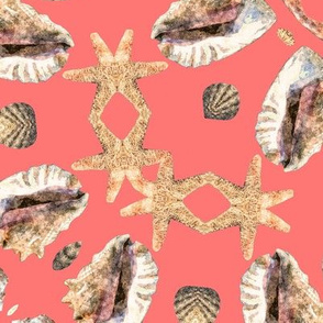Sea Shells Kaleidoscope