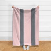 Floral Border Stripes in Pink and Gray