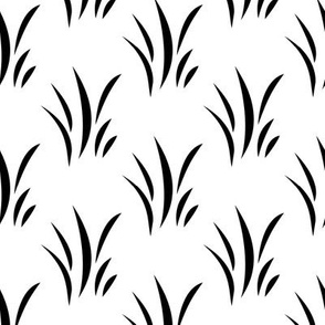 Black Grass on White