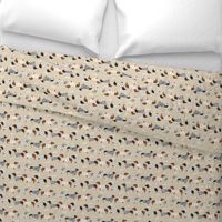 dachshund dog fabric  dogs in sweaters fabric doxie dog design - tan