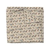 dachshund dog fabric  dogs in sweaters fabric doxie dog design - tan