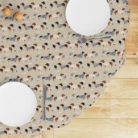 dachshund dog fabric  dogs in sweaters fabric doxie dog design - tan