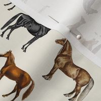 Vintage Horses Hand Coloured Rotated // Standard