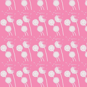 dandelion-pink