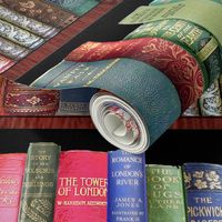 Antique books ft Jane Austen & more 