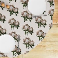 Protea flower wallpaper protea fabric home decor large floral