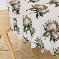 Protea flower wallpaper protea fabric home decor large floral