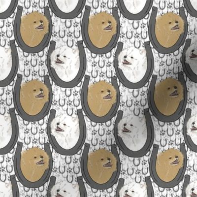 Small White Cream Pomeranian horseshoe portraits