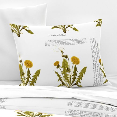 HOME_GOOD_STANDARD_PILLOW_SHAM