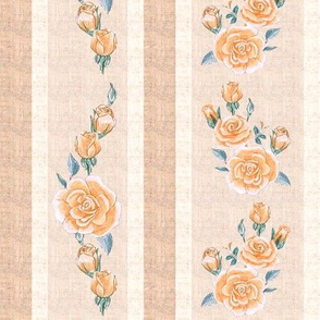 Old Fashioned Rose Stripe Peach color