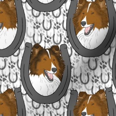 Sable Rough Collie horseshoe portraits