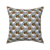 Small Floral Sable Rough Collie portraits