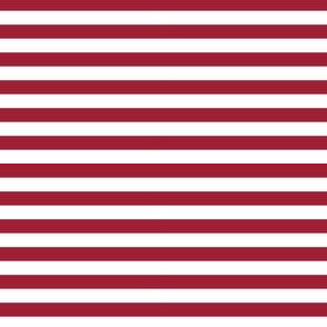 Patriotic Stripes