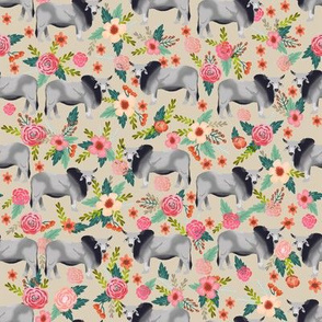 Brahman cow floral fabric pattern sand