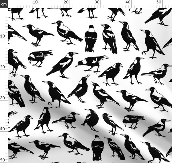 native Magpie decal Sticker Vinyl cut Australian made real photo swooping Bird 