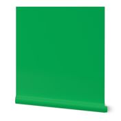 solid circus bright green (01AC54)