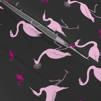 flamingo, crane and heron pink