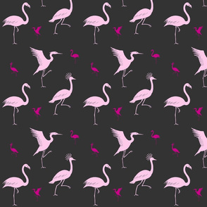 flamingo, crane and heron pink