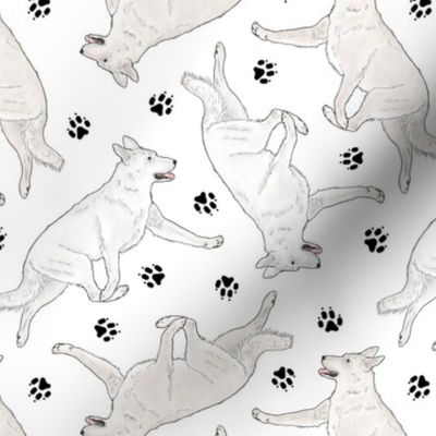 Trotting White Shepherd dogs and paw prints - white