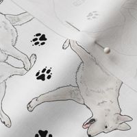 Trotting White Shepherd dogs and paw prints - white