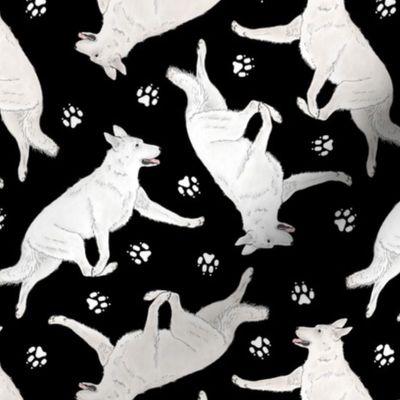 Trotting White Shepherd dogs and paw prints - black