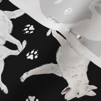 Trotting White Shepherd dogs and paw prints - black