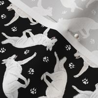 Tiny Trotting White Shepherd dogs and paw prints - black